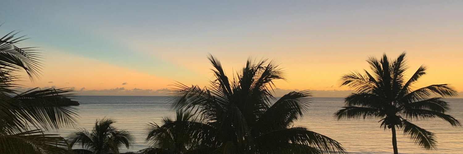 melisuzkan's profile banner image