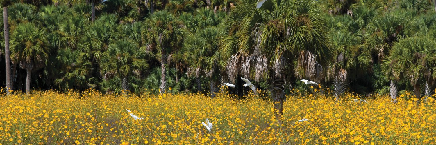 Seminole County, FL profile banner