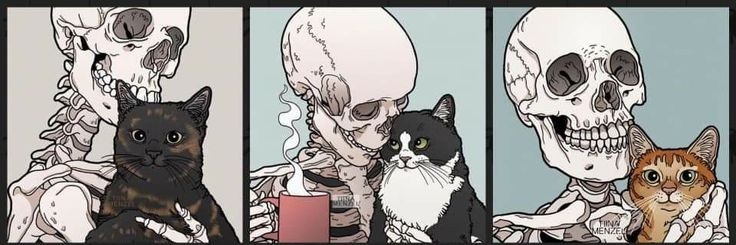 Anii_330's profile banner image