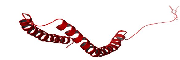 zeus banner