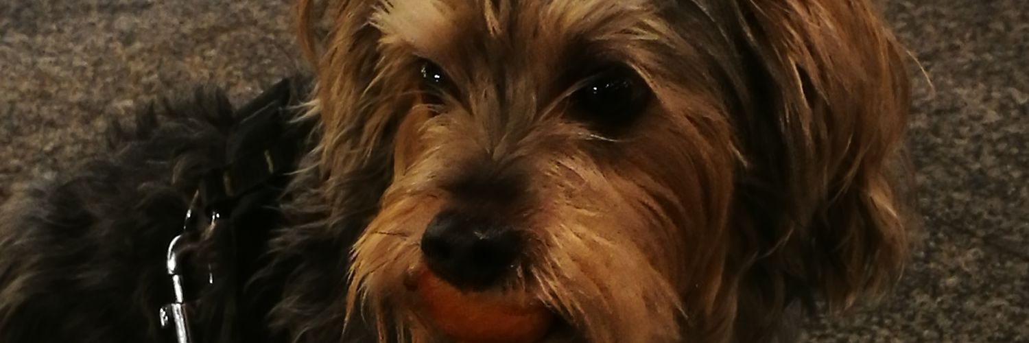 Manolo_Hachi's profile banner image