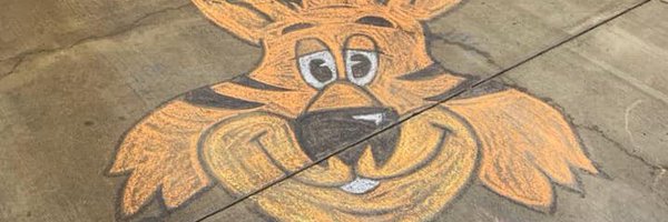 WalnutStreetIB Profile Banner