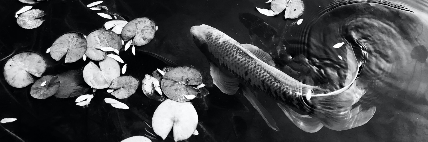 kymistrying's profile banner image