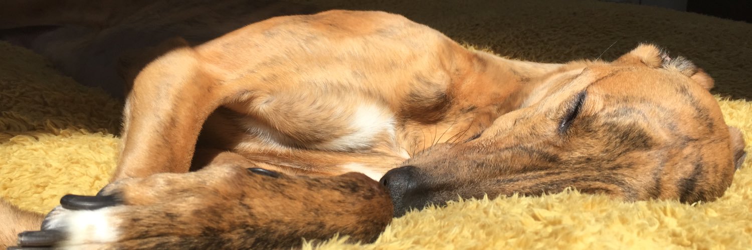 Georgina Watson banner