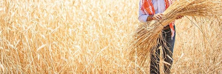 oflazfbugra's profile banner image