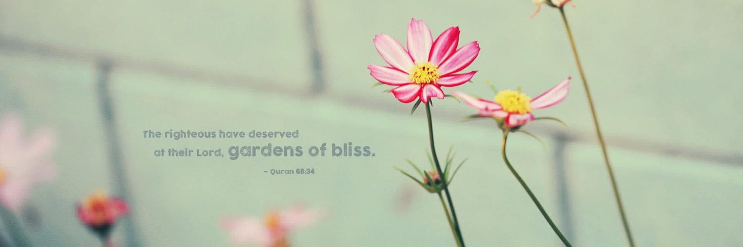 beenuzee's profile banner image
