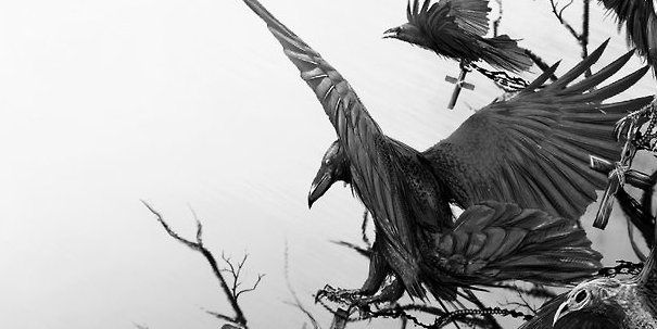 exscool's profile banner image