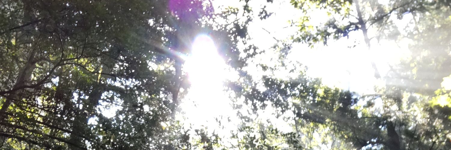Neoinpact's profile banner image