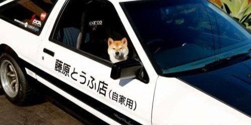 AnimeDoge's profile banner image