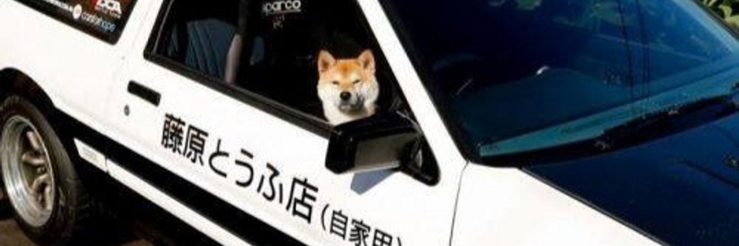 Anime Doge (@AnimeDoge) | Twitter