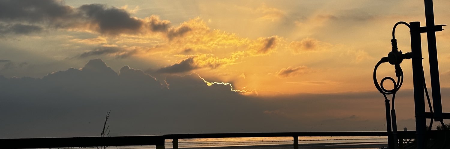 bbelpisano's profile banner image