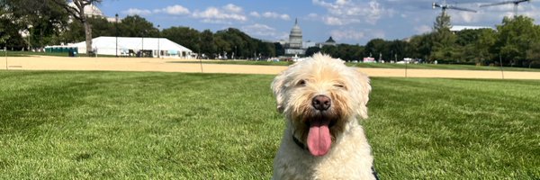 ZcohenCNN Profile Banner