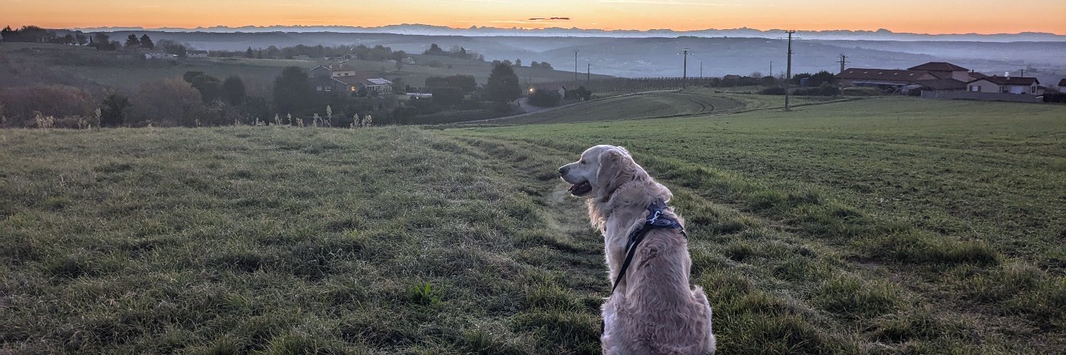 Pierre Simonet banner