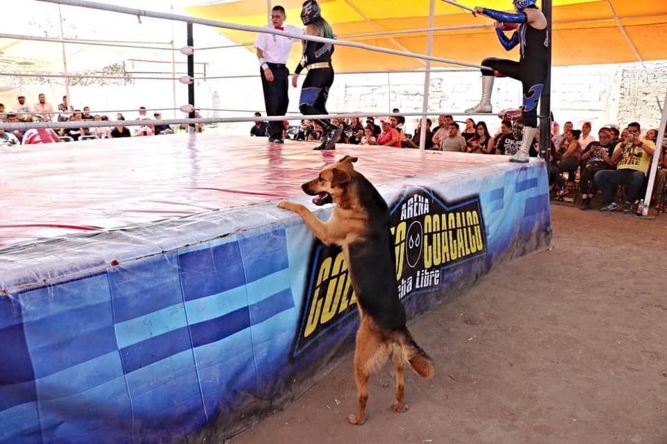 Bernardo Barrientos banner