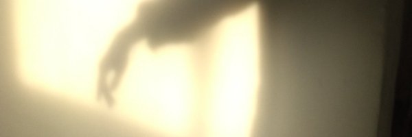 tadaimaaa_ Profile Banner