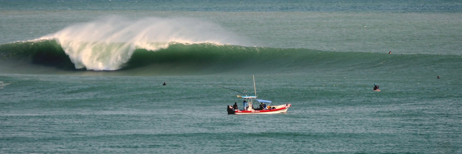 Marco Pacelli banner