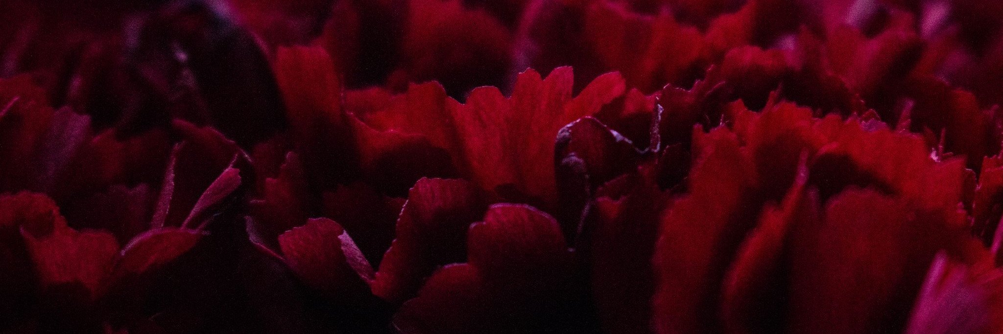 rustandstvrdust's profile banner image