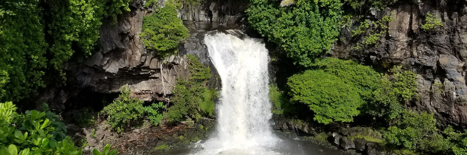 findingyourfiji's profile banner image