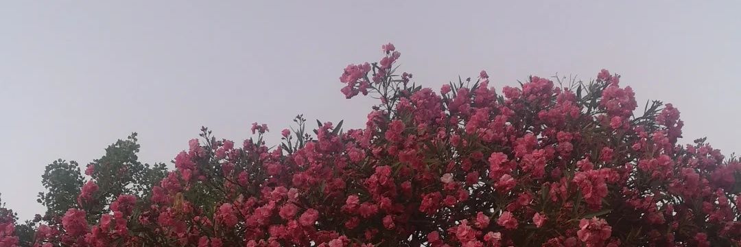 blltrx_'s profile banner image