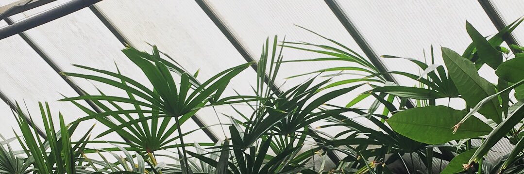 Francesca Russo banner