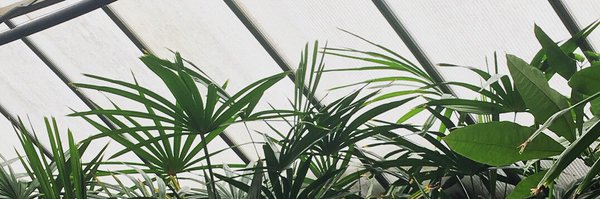 Fran__Russo Profile Banner