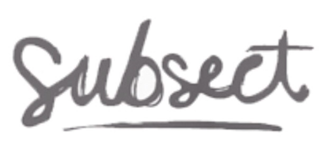 Subsect SkateShop banner