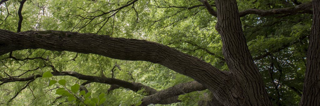 tyozurex's profile banner image
