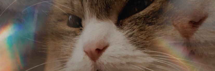 gmaria04's profile banner image