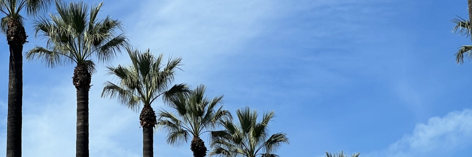 melzrack's profile banner image