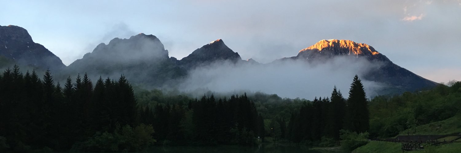 Sandra Alzetta banner