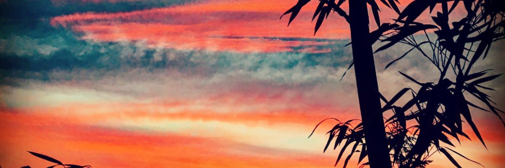 justboardart's profile banner image