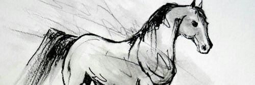 aabboo266's profile banner image