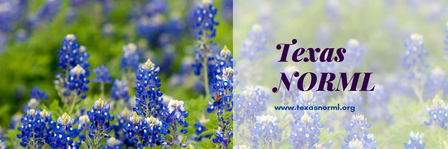 Texas NORML banner