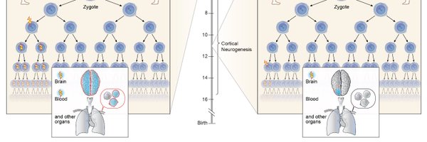 emauryg Profile Banner