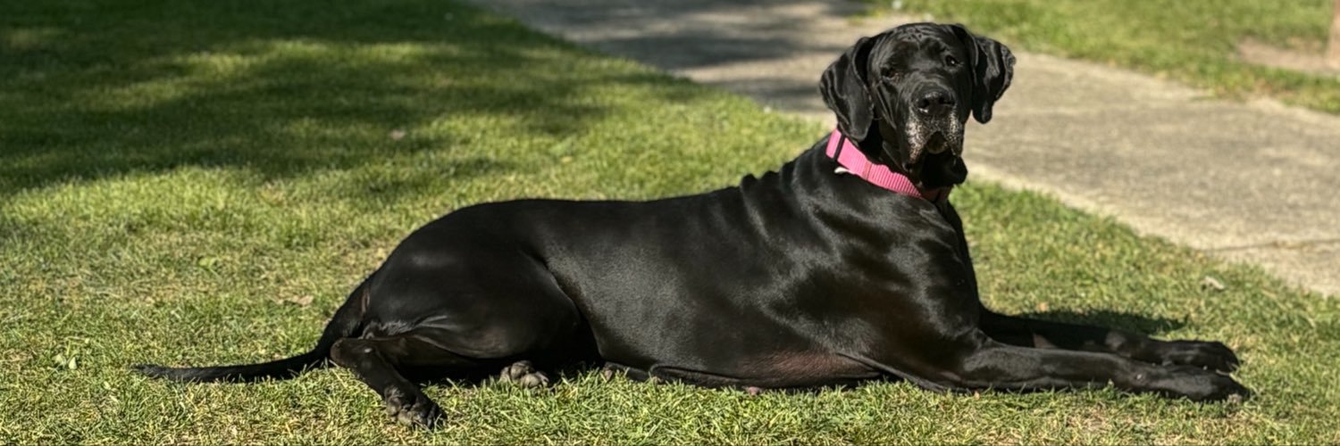 XoTeetee's profile banner image