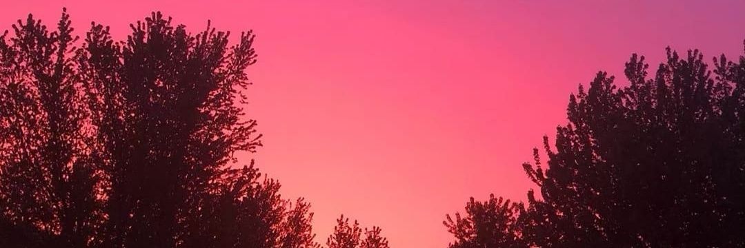 nelson1244's profile banner image