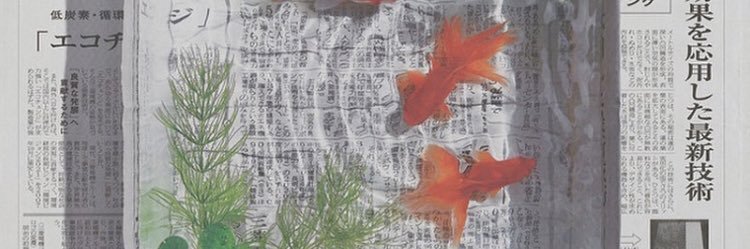 petstoreowner's profile banner image