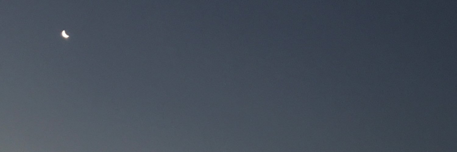 TalanovaP's profile banner image