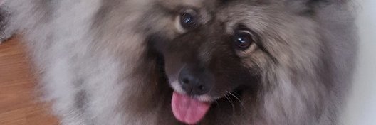 rwol9999's profile banner image