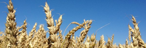 JenLetherer Profile Banner