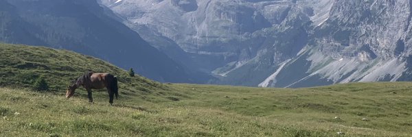 MichGPS Profile Banner