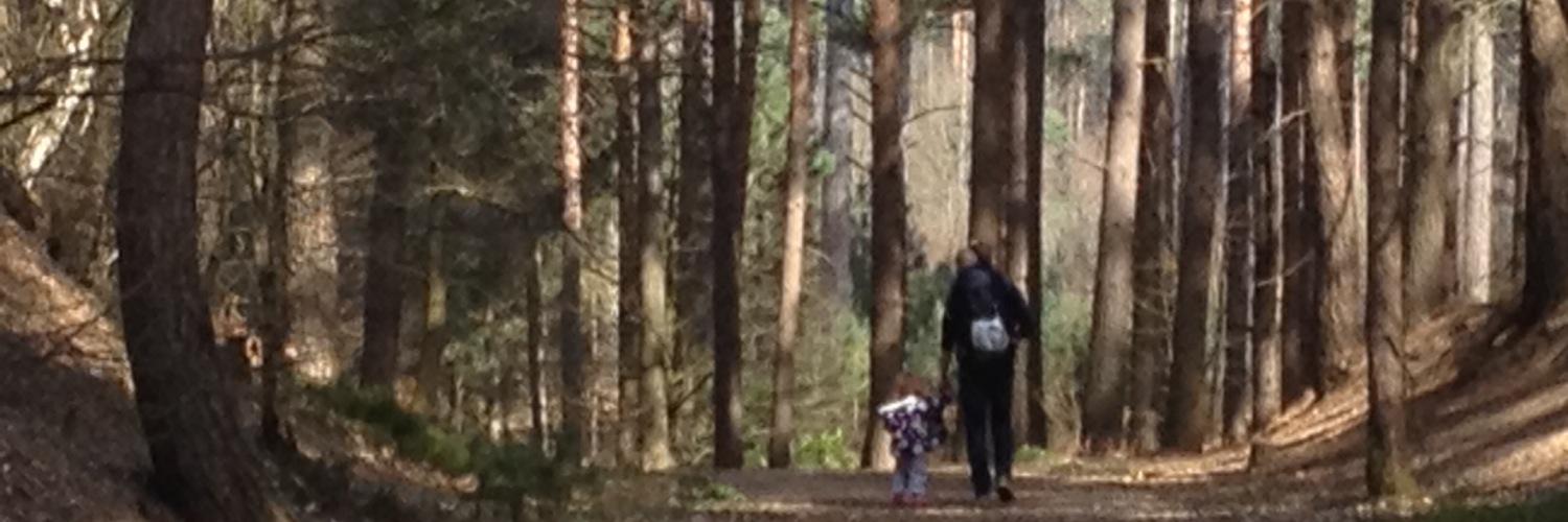 hollyhitchen's profile banner image
