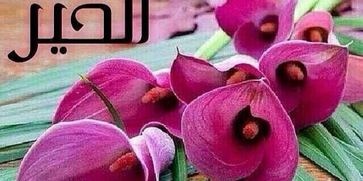 10Aljohra's profile banner image