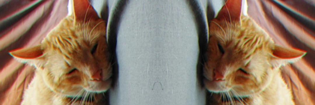 Alba29_'s profile banner image