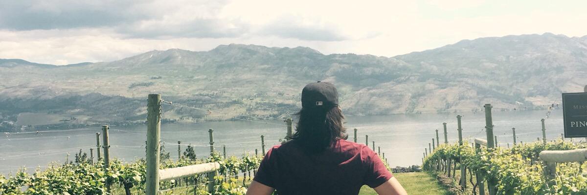 vives_03's profile banner image