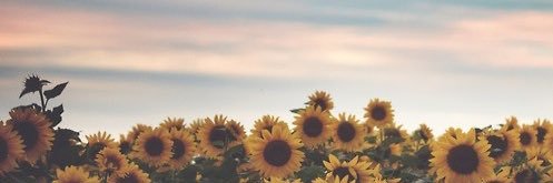 yymaa_'s profile banner image