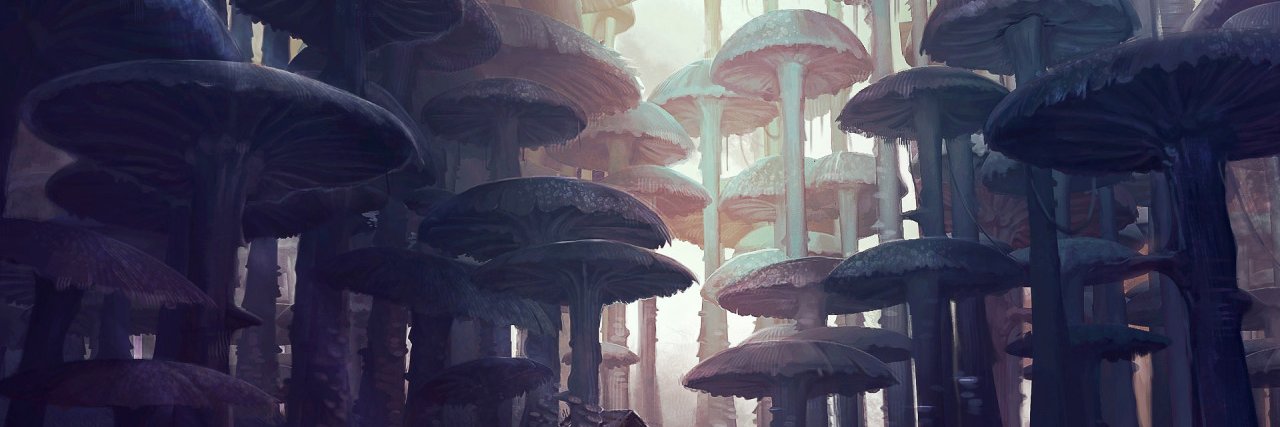 CactusDrood's profile banner image