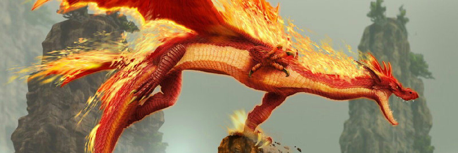 tsmoki's profile banner image