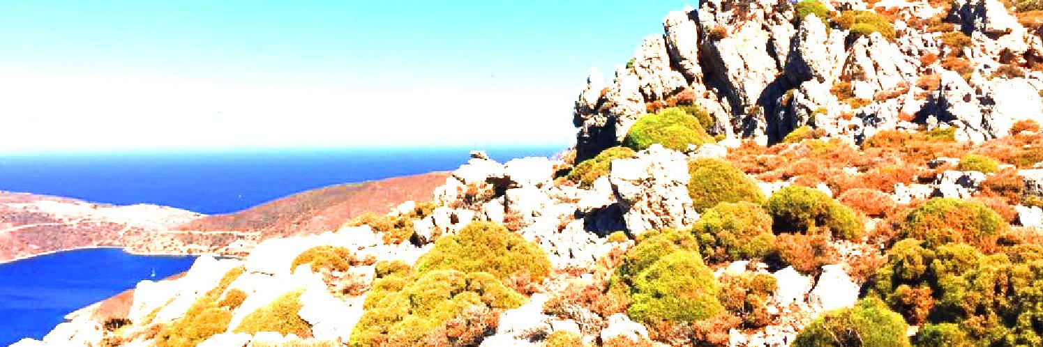 BertRensen's profile banner image