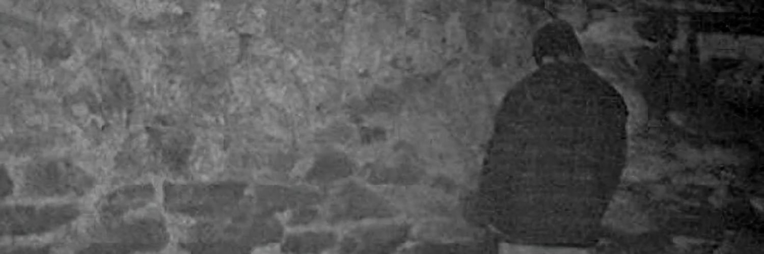 RyanRreevo79's profile banner image